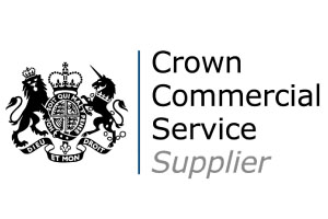 Crown Commercial Supplier Accredited - G-Cloud 10